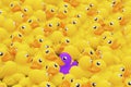 Unique purple toy duck among many yellow ones. Standing out from