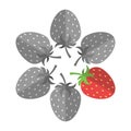 Unique red strawberry Royalty Free Stock Photo