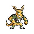Unique Retro Flying Aardvark Design