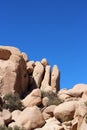 Unique rock formation with mesquite trees growing in the rocks on the Hidden Valley Picnic Area Trail in California