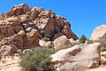 Unique rock formation with mesquite trees and scrub brush growing near the rocks on the Hidden Valley Picnic Area Trail Royalty Free Stock Photo