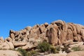 Unique rock formation with scrub brush and yucca trees at the Jumbo Rocks Campground in California Royalty Free Stock Photo