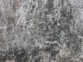 Unique rought faded white wall. Royalty Free Stock Photo