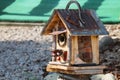 unique rustic hand made tin roof birdhouse rock ground