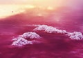 Unique salt lake with pink water and salt at sunset. Magnificent reflection of clouds in the pink water of a salt lake. Royalty Free Stock Photo