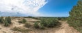 Unique sand dunes of the Curonian Spit in the area of the height of Efa