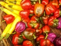 Colorful capsicum & cabbage Royalty Free Stock Photo