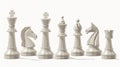 A unique set of chess pieces with horse heads Royalty Free Stock Photo