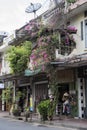 Unique shop houses with beautiful flowers along Boripat Road in Bangkok