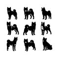 Silhouette Solid Vector Icon Set Of Dog, Breeds, Canine, Pooch, Hound, Puppy, Mutt, Pet, Doggy.
