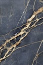 Unique and Striking Marbled Stone Creates Alluring Backdrop Effect for Modern Decoration Concepts Royalty Free Stock Photo