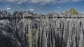 Unique stunning Tsingy De Bemaraha. Grey karst limestone cliffs