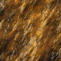 Unique texture of wet stone Royalty Free Stock Photo