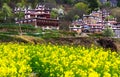 Unique tibetan architecture in spring Royalty Free Stock Photo