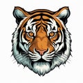 Unique Tiger Head Illustration In Dan Mumford Style Royalty Free Stock Photo