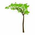 A unique tree with green leaves and a brown trunk Royalty Free Stock Photo