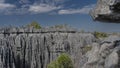 Unique Tsingy De Bemaraha. Sheer gray limestone cliffs with sharp peaks