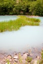 The unique turbid lake