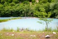 The unique turbid lake