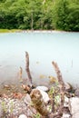 The unique turbid lake