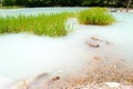 The unique turbid lake