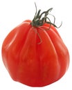unique type tomato Royalty Free Stock Photo