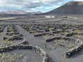 Unique vinyards among volcanoes