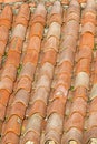 Unique, weathered terracotta roof background