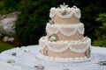 Unique Wedding cake Royalty Free Stock Photo