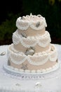 Unique Wedding cake Royalty Free Stock Photo