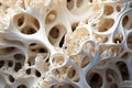 Unique White Coral: Enhance Your Aquatic Decor