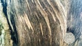 Unique wood texture