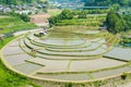 Terraced rice fields in Japan