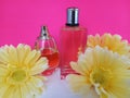 Unisex bottles of perfume with yellow daisies on a pink and white background Royalty Free Stock Photo