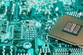 Unit central processors, CPU, desktop and server computer, contacts, selective focus Royalty Free Stock Photo
