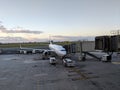 United Airlines Plane parked at Honolulu International airport Royalty Free Stock Photo