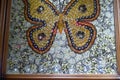 United Arab Emirates Dubai Garden Abu Dhabi Butterfly Park butterflies Mosaic Portrait Arts Insects Specimen Nature Craftsmanship