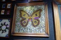 United Arab Emirates Dubai Garden Abu Dhabi Butterfly Park butterflies Mosaic Portrait Arts Insects Collage Specimen Nature