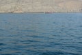 United Arab Emirates Oman dolphin watching boat trip Khasab Musandam dhow cruise Royalty Free Stock Photo