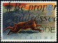 UNITED KINGDOM - CIRCA 1992: stamp printed by UK shows animal European Hare Lepus europaeus, circa 1992