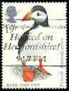 UNITED KINGDOM - CIRCA 1989: stamp printed by UK shows bird animal Atlantic Puffin Fratercula arctica, circa 1989