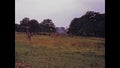 United Kingdom 1975, Giraffes at Knowsley safari park Prescot