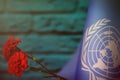 United Nations flag for honour of veterans day or memorial day with two red carnation flowers. Glory to the United Nations heroes