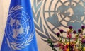 United Nations Flag in office of UN Headquarter in New York Royalty Free Stock Photo