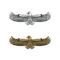 United State Marine Corps Eagle ega design illustration