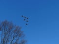 United States Air Force Thunderbirds in Fly Over Long Island NY saluting COVID-19 Frontline Workers