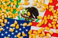 United States of America, Mexico flags and corn kernels