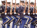 United States Army Honor Guard Royalty Free Stock Photo