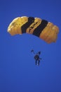 United States Army Paraglider, Van Nuys Air Show, California Royalty Free Stock Photo