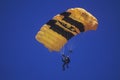 United States Army Paraglider, Van Nuys Air Show, California Royalty Free Stock Photo